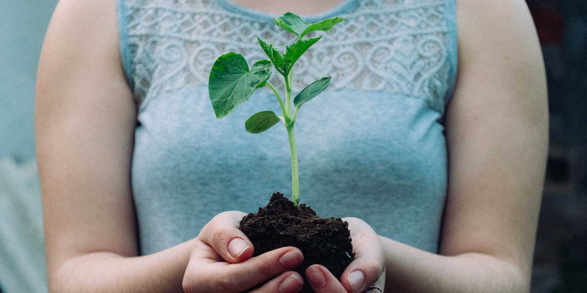 holding-growing-plant in hands